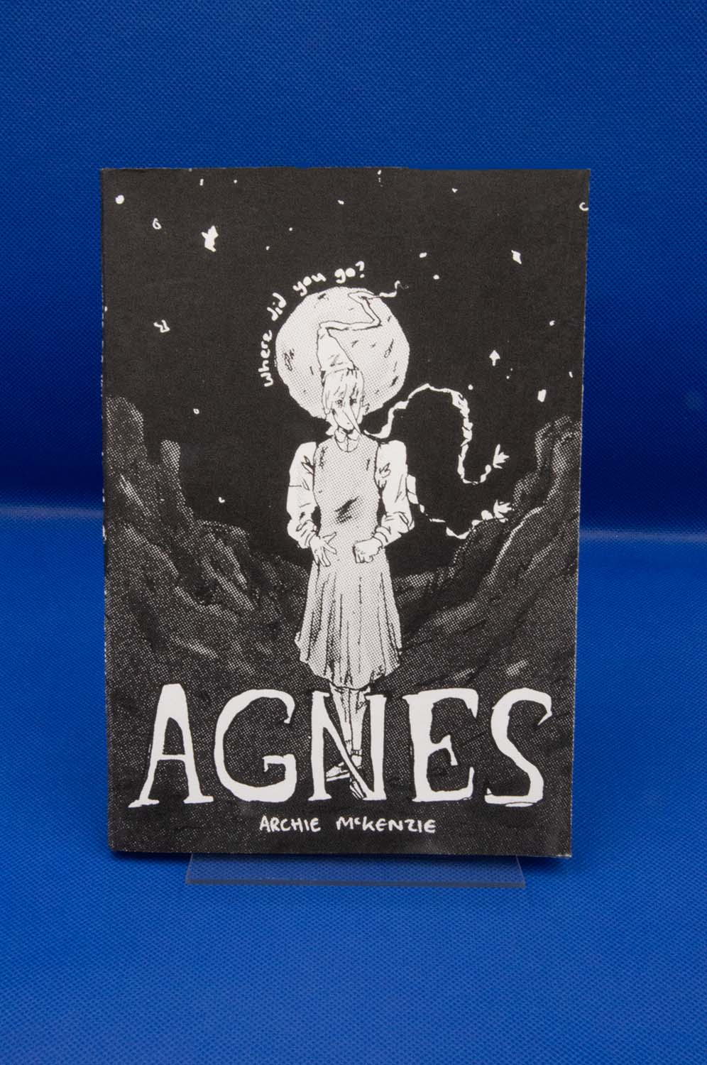 Agnes | Screenprinted Concertina Silent Comic