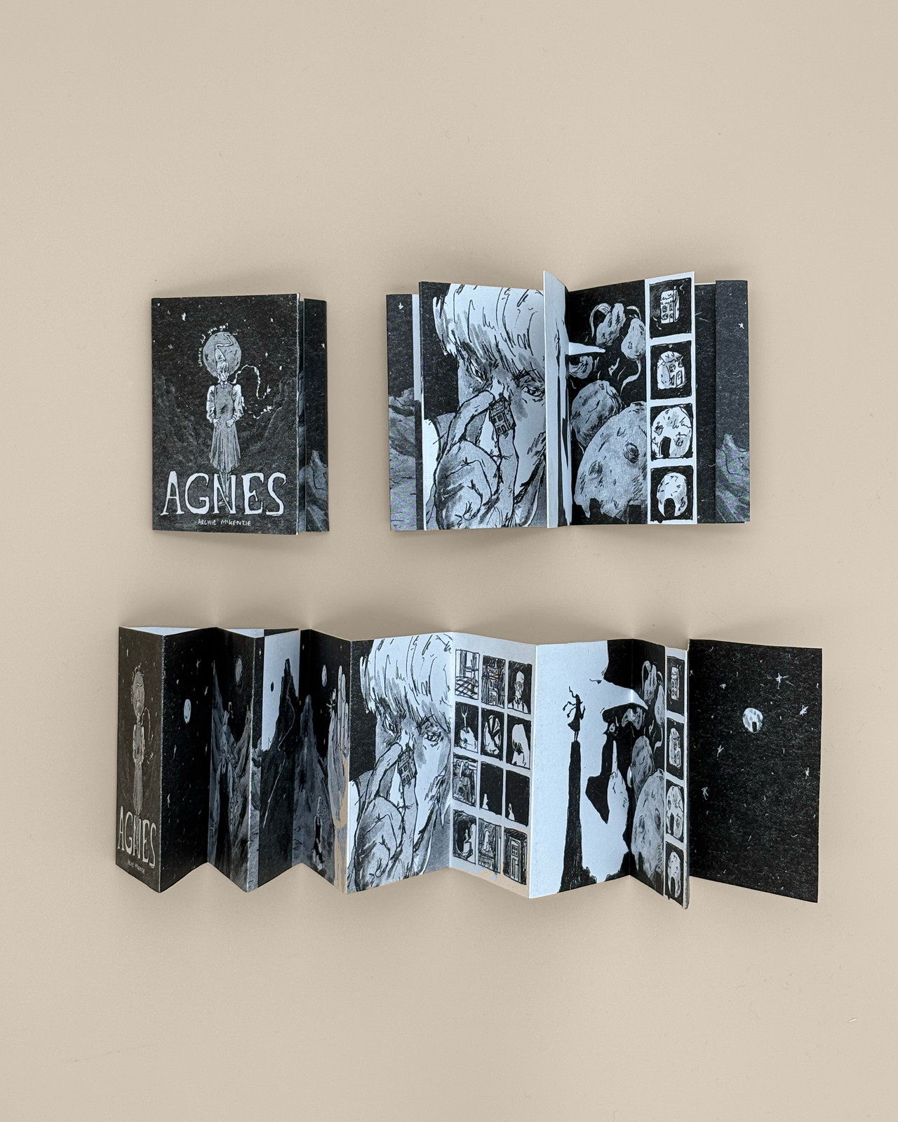 Where Did You Go, Agnes? | Screenprinted Concertina Silent Comic